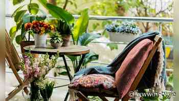 Möbel, Pflanzen und mehr: So wird der Balkon zur gemütlichen Sommer-Oase
