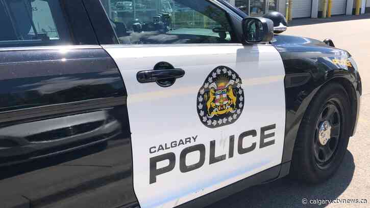 Bust at Bowness home leads to 90 charges against Calgary man and woman