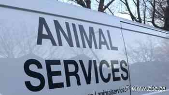 68 dogs removed from Winnipeg home