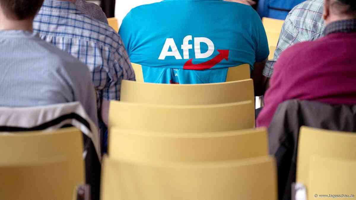AfD-Bundesverband erzielte 2023 Überschuss in Millionenhöhe