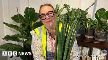 Prisoners' garden heads to Chelsea Flower Show