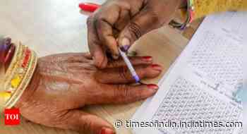 Lok Sabha polls: Finger in every pie? 'Double voters' press button where they are and 'back home'
