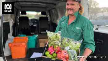 Farmers' markets booming as supermarket giants face parliamentary grilling