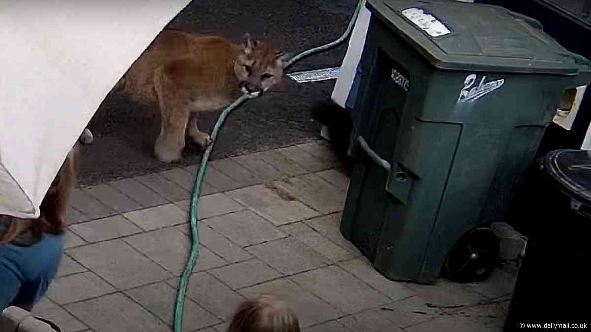 Heart-stopping moment nine-year-old girl and her terrified mom come face-to-face with mountain lion after it chased their pets toward house