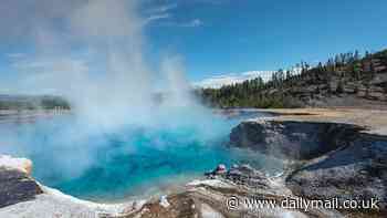 'Giant' viruses that formed 1.5bn years ago are discovered in Yellowstone's Hot Springs