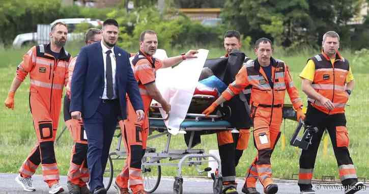 Slovakian PM in life-threatening condition after being shot
