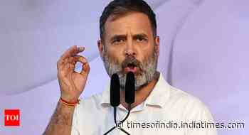 BJP goes to EC over Rahul's Army remark