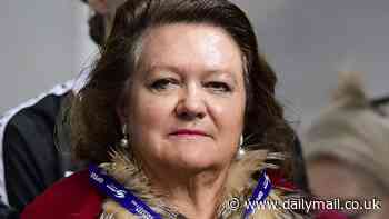 Gina Rinehart: See the portrait that Australia's richest person doesn't want you to see