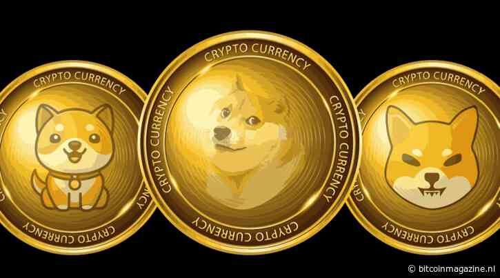 Crypto traders pumpen GameStop meme coins “uit verveling” – welke meme coins kunnen meeliften?