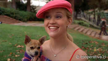 Reese Witherspoon volvió al rosa para presentar serie de "Legalmente Rubia"