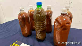 Sujeto intentó ingresar a Chile seis botellas con ayahuasca para rituales en Santiago, según la PDI