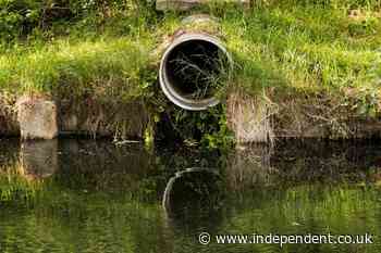 Bid to criminalise water companies that don’t tackle sewage spills fails