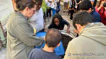 Learning garden helps Fort Worth students grow food and life skills