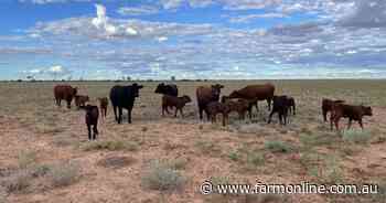 Scientists make moves on reducing methane in grazing systems