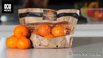 Paper bags make a comeback for fruit as retailers swap out plastic net bags to reduce waste