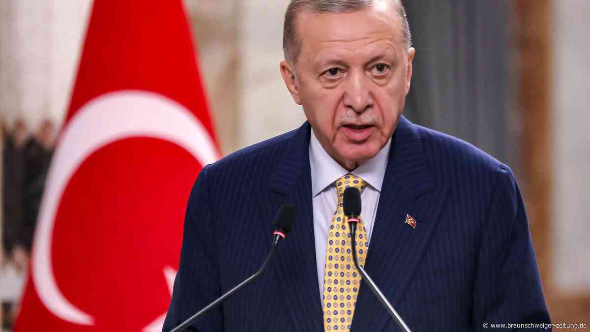 „Hexenjagd“: Türkei plant Gesetz, das Kritiker mundtot macht
