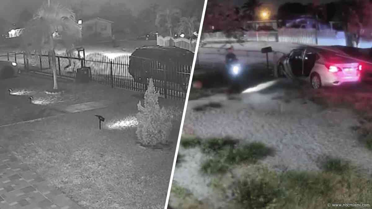 Video catches group firing high-powered weapons in Miami Gardens neighborhood