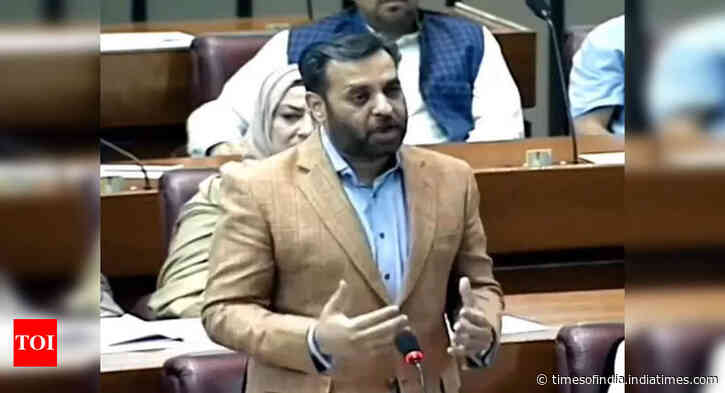 'India landed on moon, while we ... ': Pakistani lawmaker highlights lack of amenities in Karachi