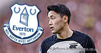Everton may have found answer to problem position £31m outlay failed to solve