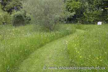 New 'green' planning rule set to give nature a big boost