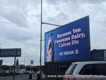 PETA animal rights group put up billboard after oat-milk saga