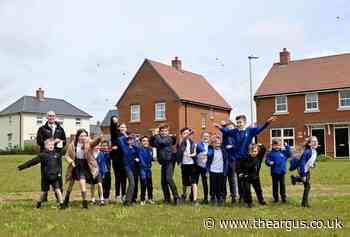 Eastbourne: Willingdon Primary School campaigns for wildlife