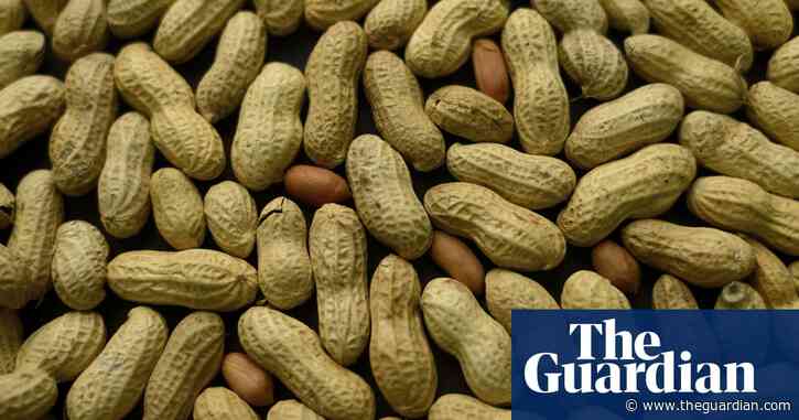 One in 20 people in UK has a confirmed food allergy, study finds
