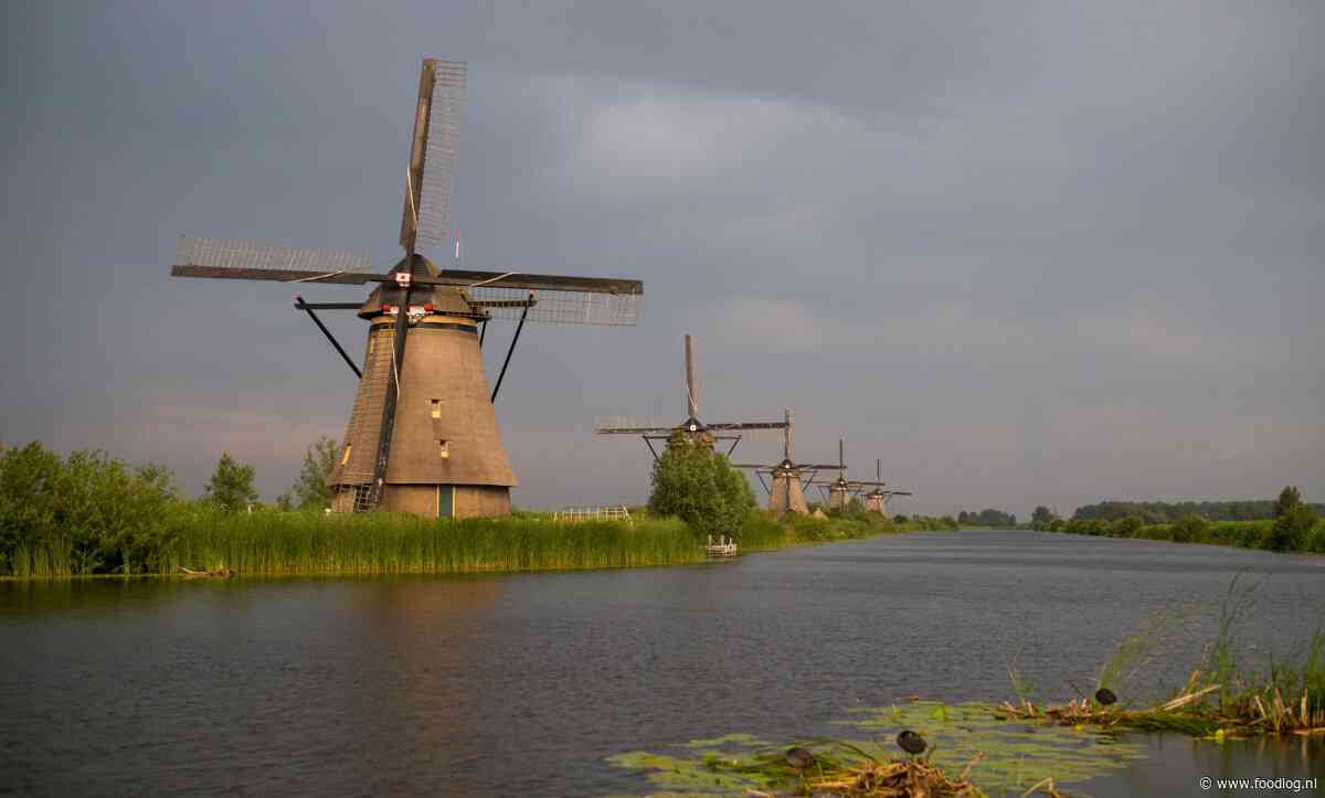 Waterkwaliteit: het ongeluk waar Nederland knalhard op afstevent