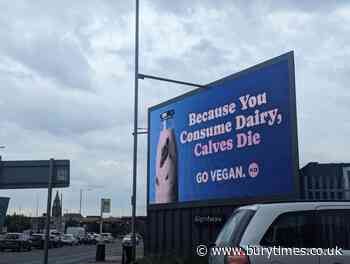 PETA animal rights group put up billboard after oat-milk saga