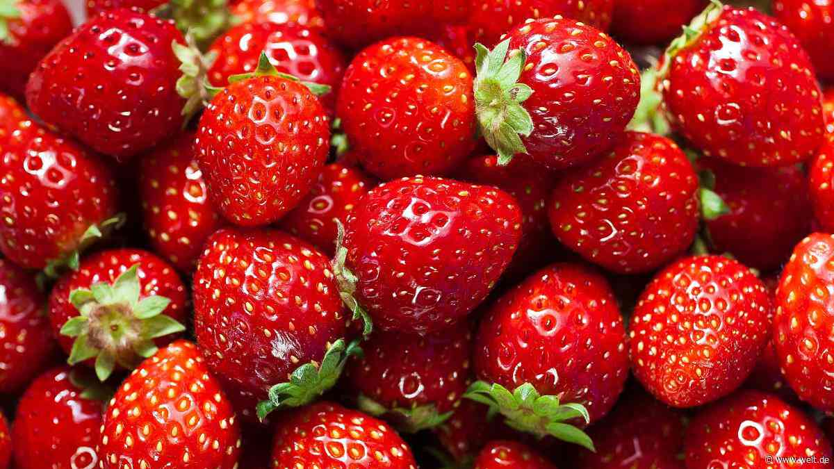 „Billig wie lange nicht“ – der Mythos von den teuren Erdbeeren