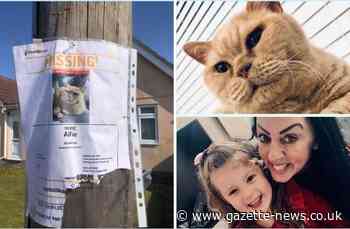 Pranksters target Frinton woman whose cat has been missing for weeks