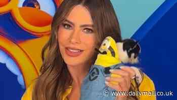 Sofia Vergara dresses her adorable black and white pup Amore as a minion for Despicable Me 4 press day