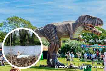 Danson Park Dinosaurs in the Park - concerns for nesting swans