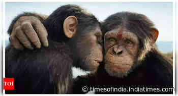 Kingdom of the Planet of the Apes beats Srikanth at BO