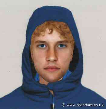 Police issue e-fit of thug who stabbed man in Hillingdon attempted robbery