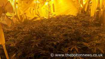 Man arrested after cannabis plants found in Farnworth