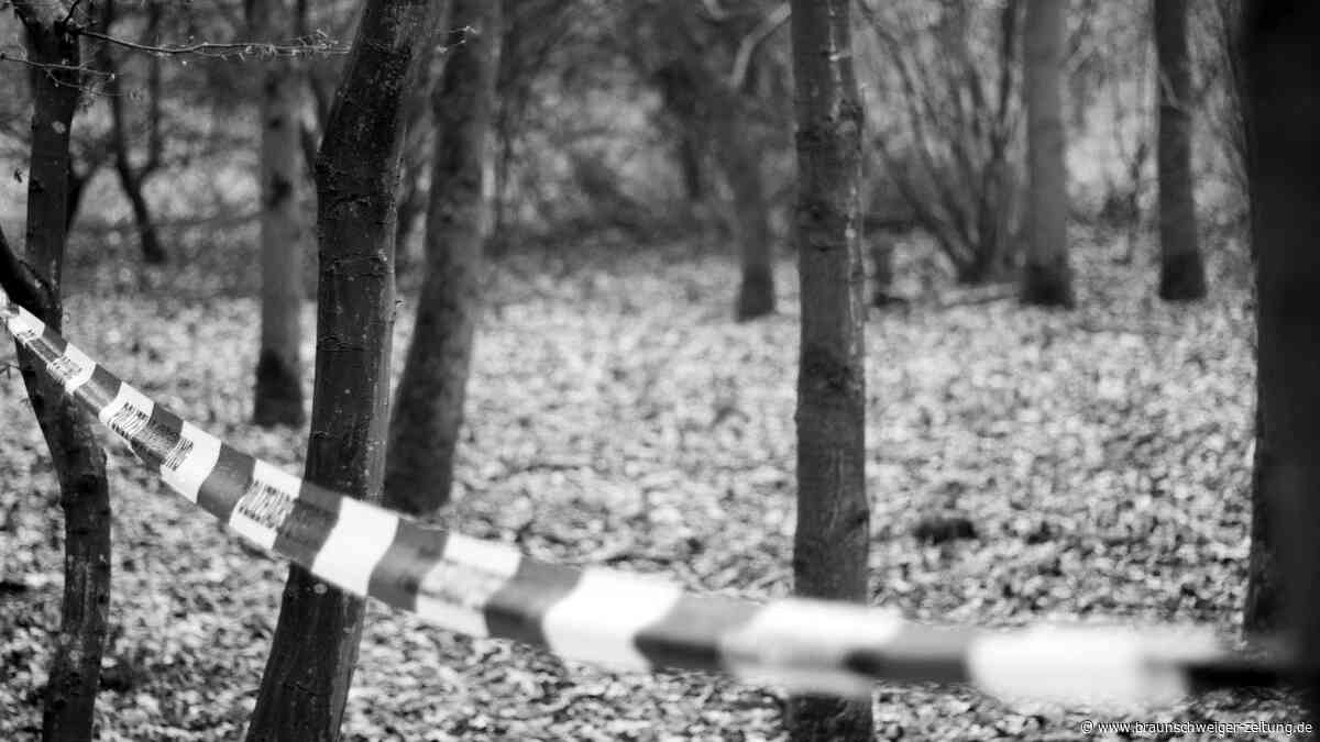 Nach Schädelfund im Harz: Polizei sucht weiter Knochen