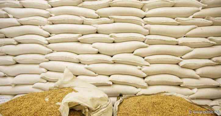 Kebbi residents receive 23,982 bags of grains from FG to ease food crisis