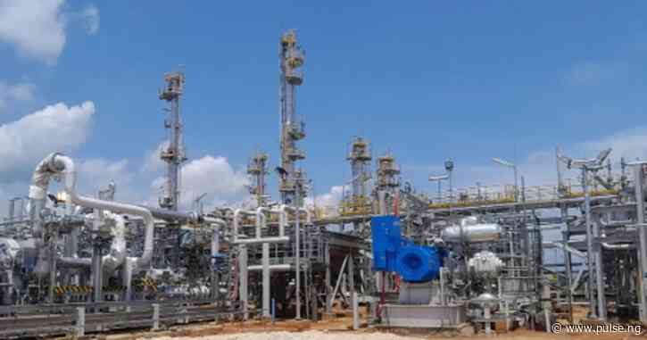 Tinubu launches Seplat Energy's ANOH Gas Plant Processing virtually