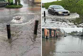 Hevige regenval zet straten onder water in Lier: “Bij veel mensen lopen de kelders onder, een jaarlijks weerkerend fenomeen”