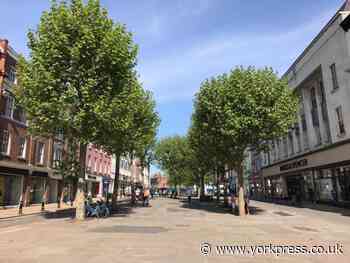York's Parliament Street: 'Only remedy is to remove trees'