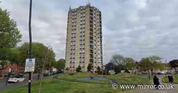 Newham tower block tragedy as boy, 6, dies after falling more than 150ft