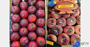 "Drang naar nieuwe producten en mooi weer versterkt vraag naar Spaans steenfruit"