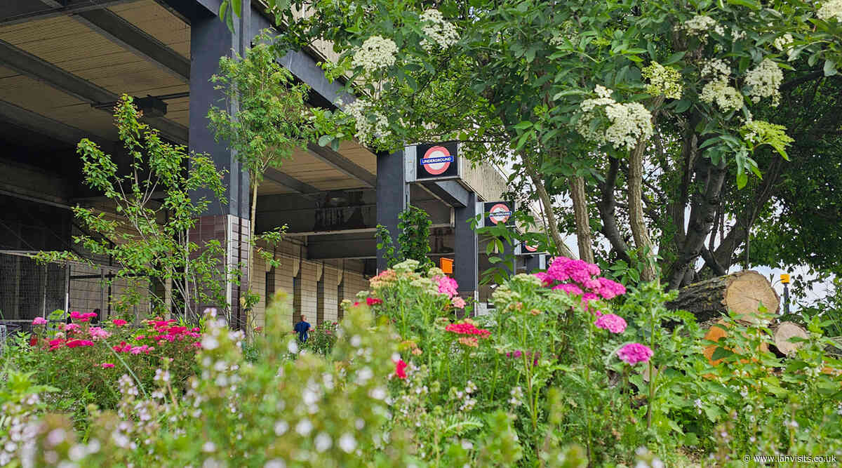 London’s Pocket Parks: Hatton Cross tube station, TW6