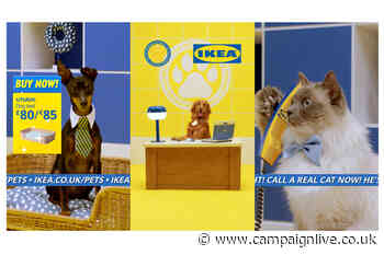 Ikea and Mother unveil shopping channel for pets