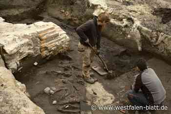 Keramik, Knochen und Knüppelholz: Archäologen suchen nach Schätzen