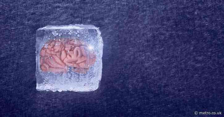 Frozen human brain tissue brought back to life in major breakthrough