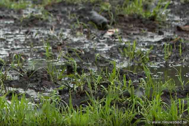 Boeren met handen in het haar door aanhoudende regen