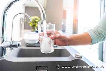 How to tell if you've drunk contaminated tap water amid outbreak
