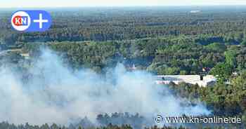 Waldbrand in Lübtheen: Wieder Feuer in dem mit Munition verseuchten Wald